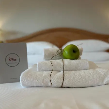 Palace Desenzano Otel Desenzano del Garda